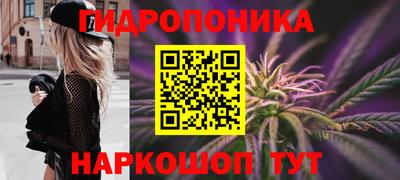 PSILOCYBIN Будённовск