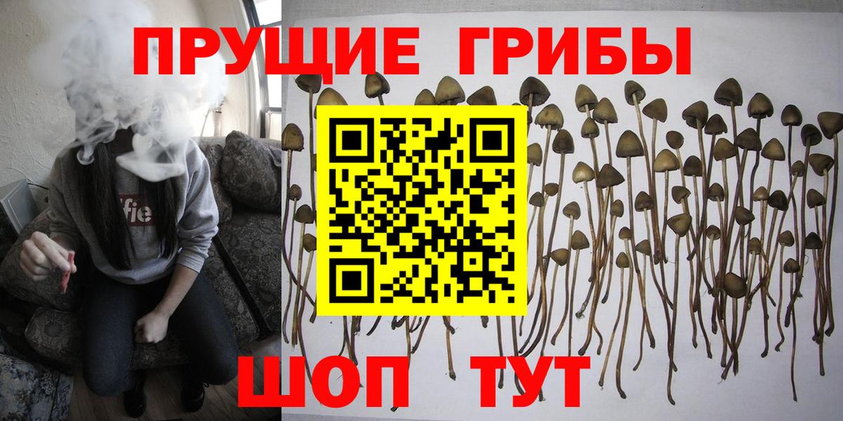 Сухой Лог  Галлюциногенные грибы Psilocybe  Галлюциногенные грибы ЛСД  Вход с VPN 