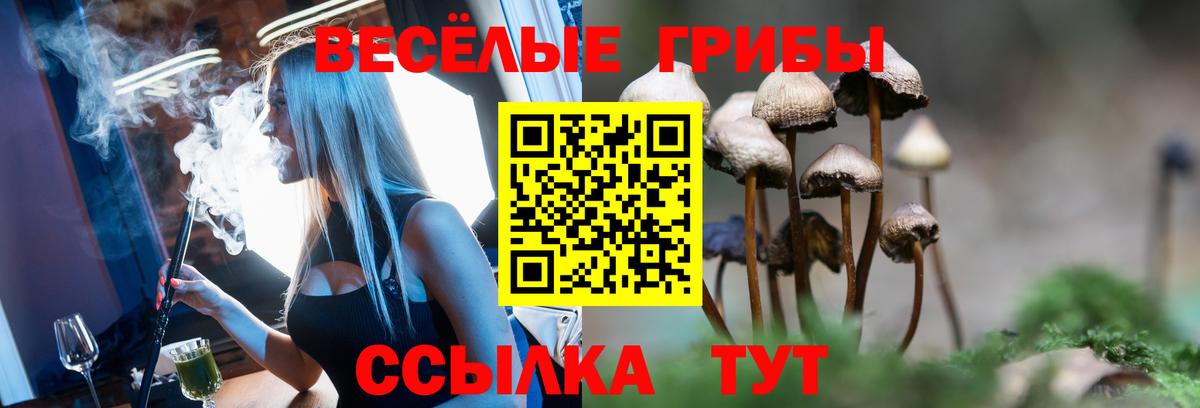 Галлюциногенные грибы GOLDEN TEACHER Сухой Лог